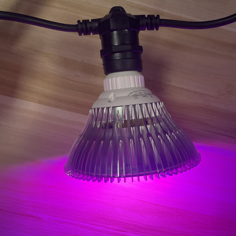 10M Cable LED String Commercia - Outdoor Power Adapter ulasan dan harga