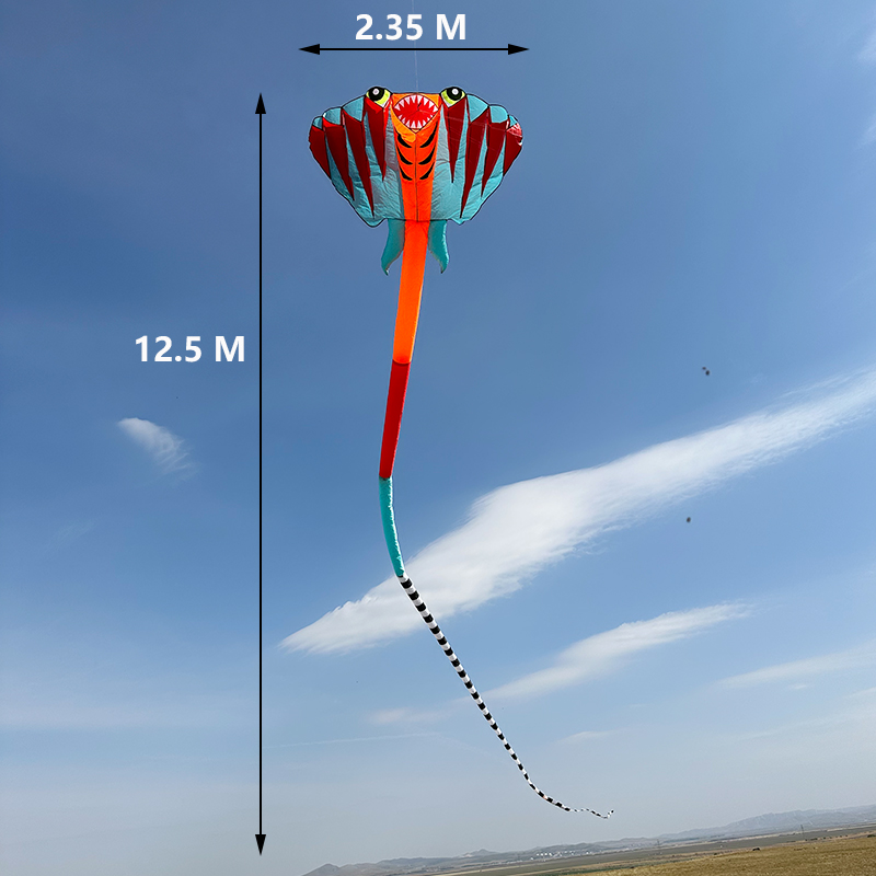 3D 12.5M 2-color Ray Soft Kite - Outdoor Power Reel ulasan dan harga
