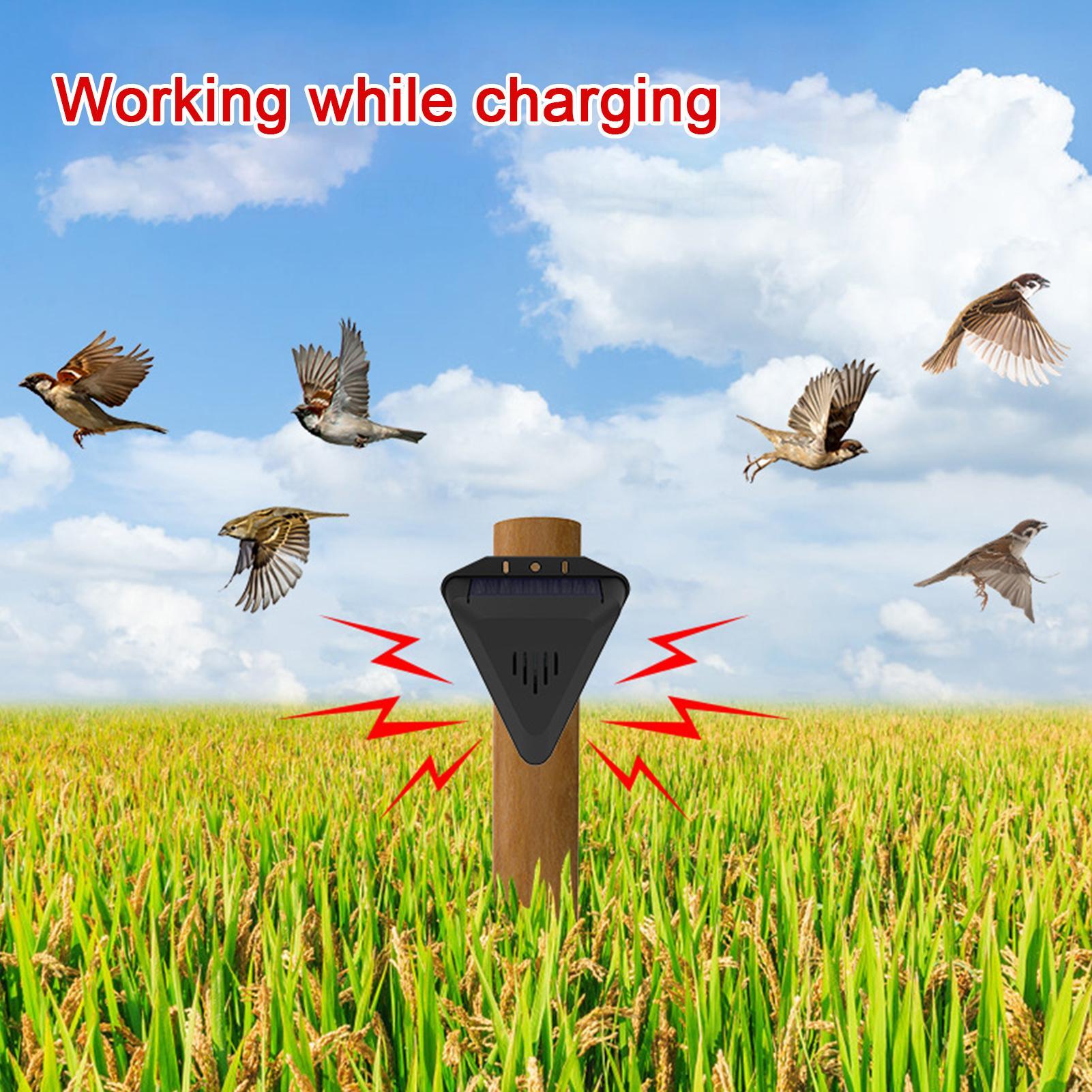 Solar Timer Bird Repeller With - Outdoor Power With Timer ulasan dan harga