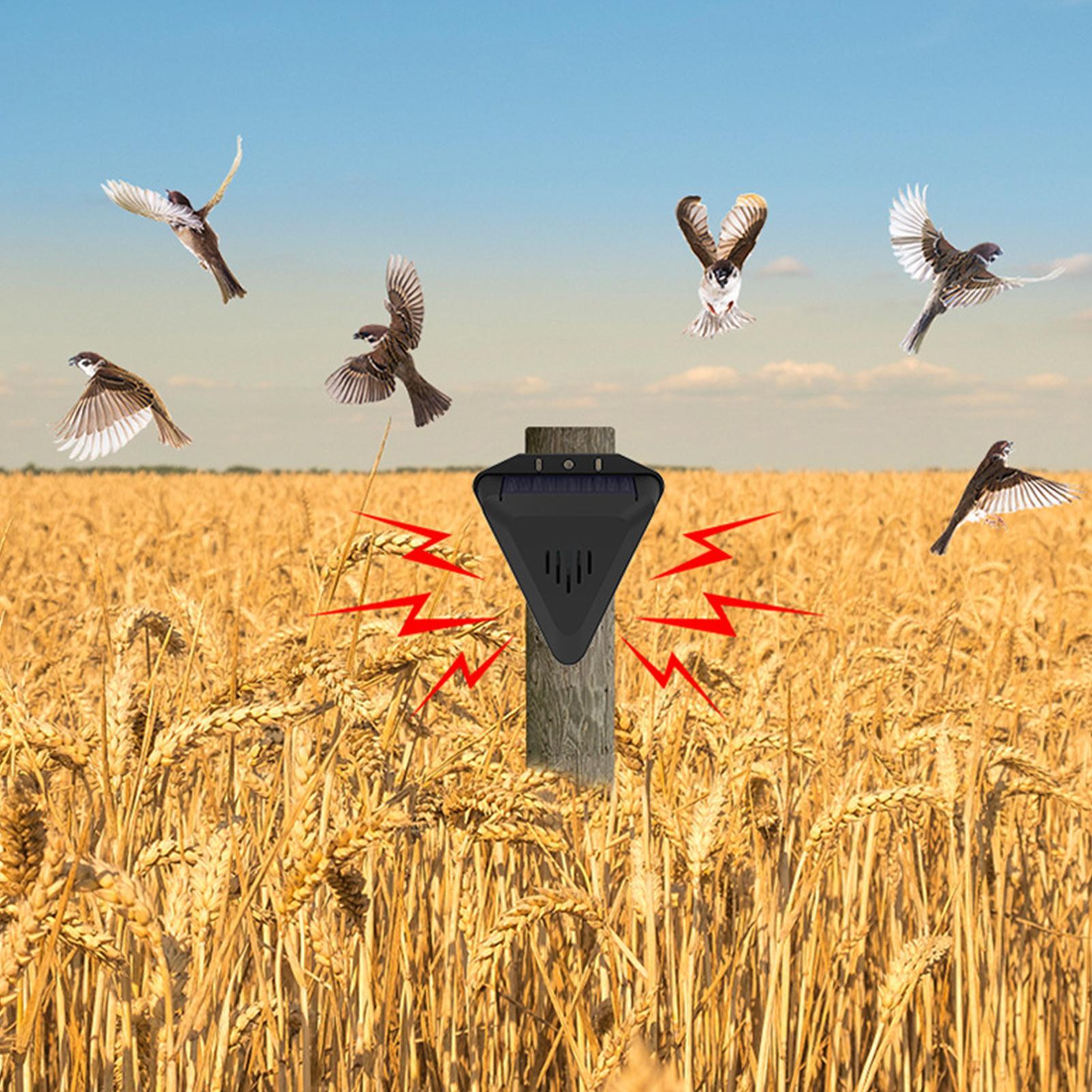 Solar Timer Bird Repeller With - Outdoor Power With Timer ulasan dan harga