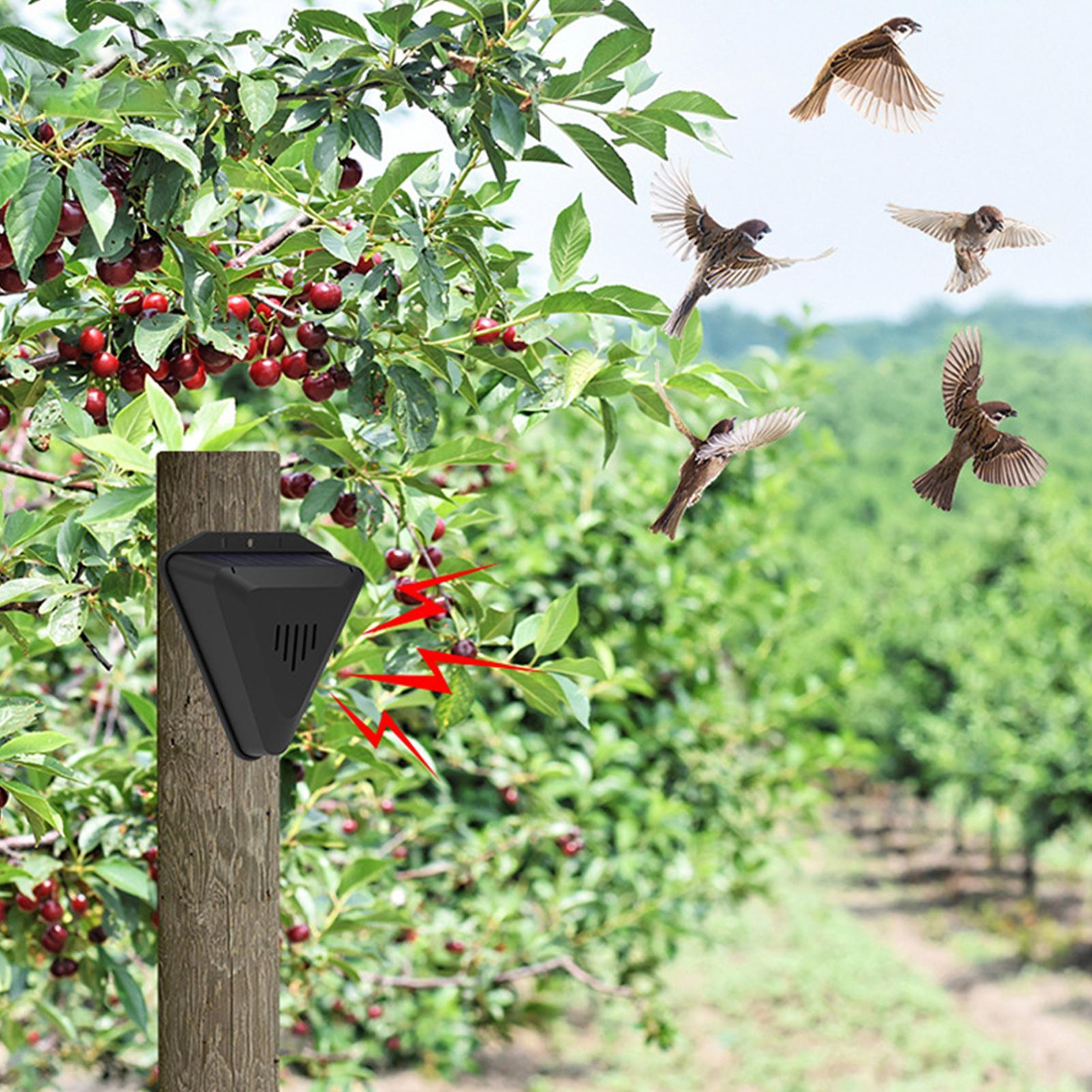 Solar Timer Bird Repeller With - Outdoor Power With Timer ulasan dan harga